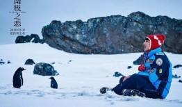 南极之恋在线观看,冰封世界里的爱情传奇
